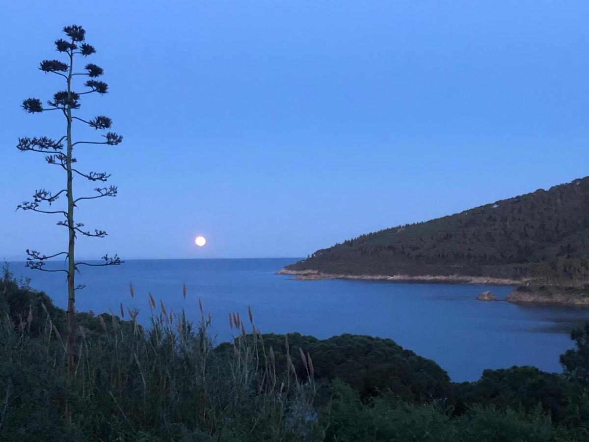 Case Dei Limoni Sul Mare Capoliveri  Eksteriør bilde