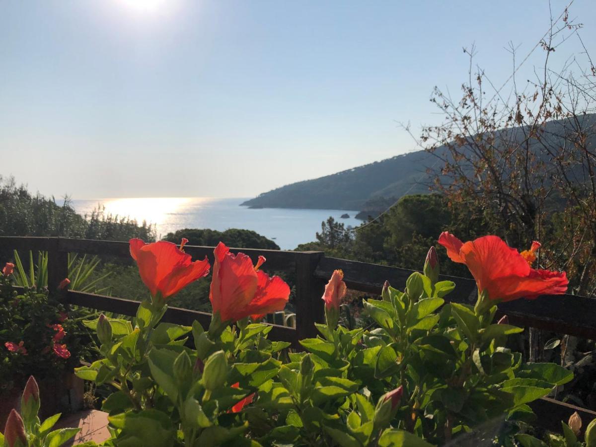 Case Dei Limoni Sul Mare Capoliveri  Eksteriør bilde