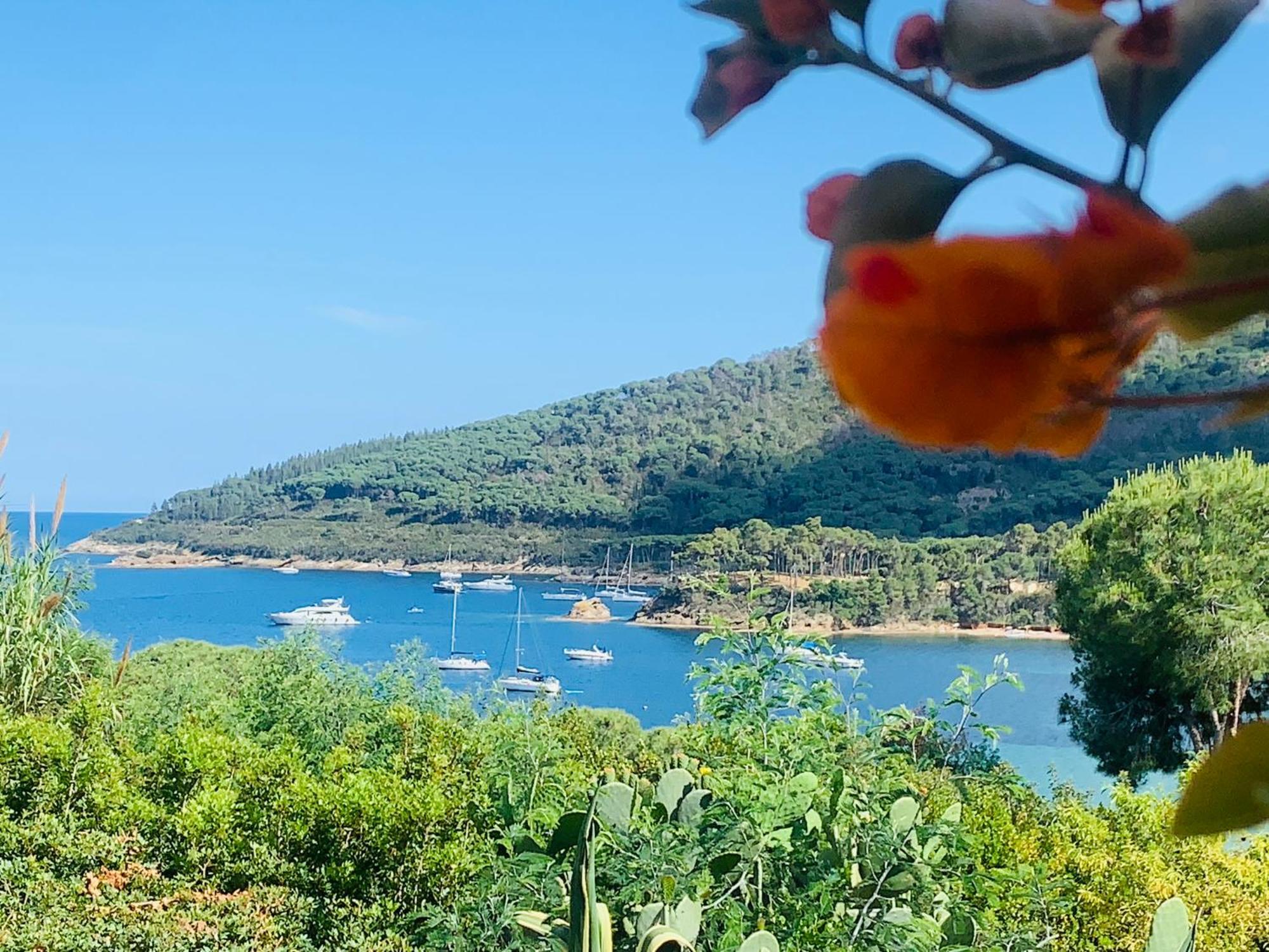 Case Dei Limoni Sul Mare Capoliveri  Eksteriør bilde