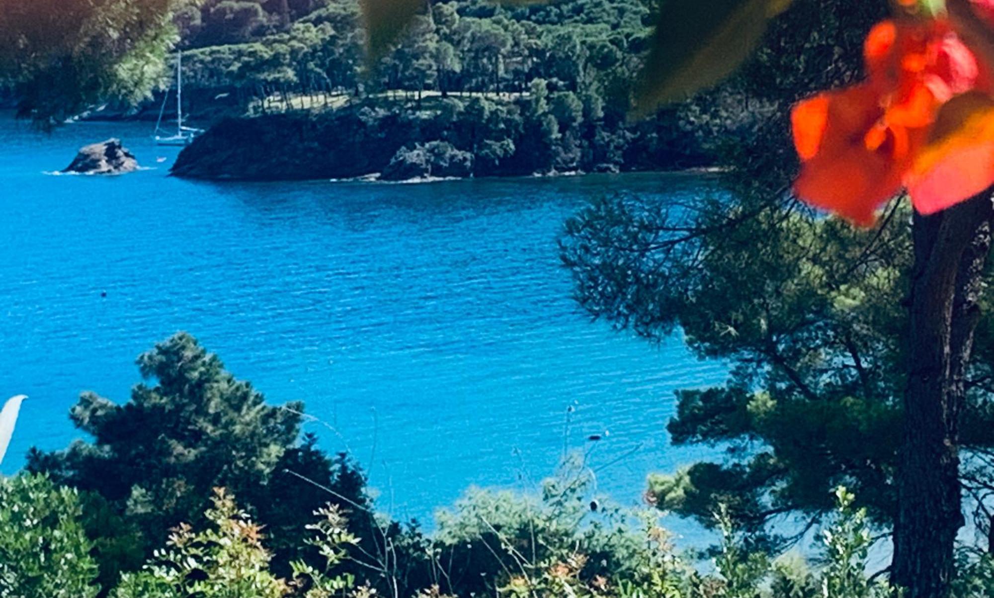 Case Dei Limoni Sul Mare Capoliveri  Eksteriør bilde